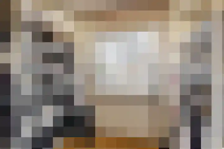 Zonnebloemstraat 2 Geleen thumbnail 25