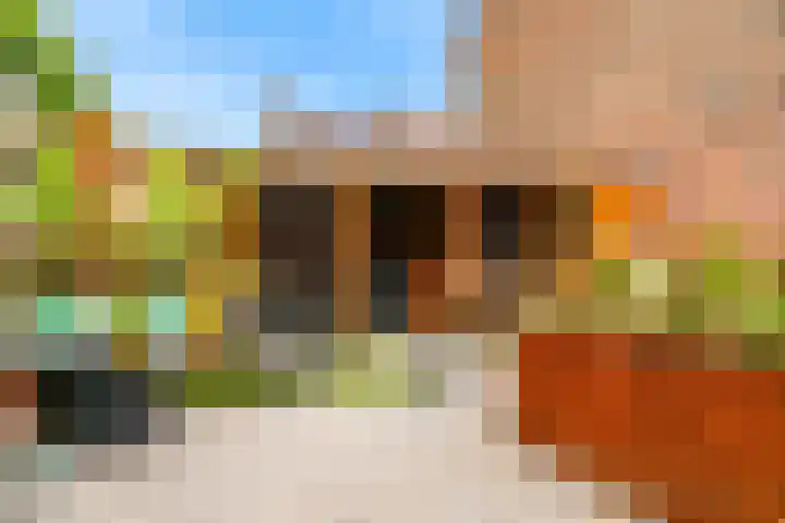 Zonnebloemstraat 2 Geleen thumbnail 29