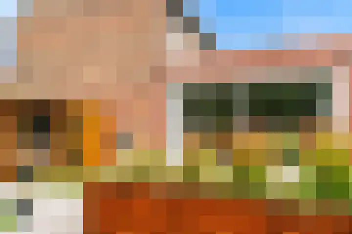 Zonnebloemstraat 2 Geleen thumbnail 30