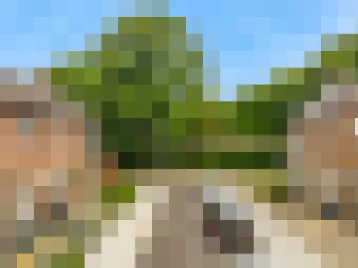Zonnebloemstraat 2 Geleen thumbnail 37