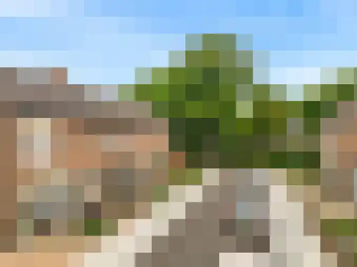 Zonnebloemstraat 2 Geleen thumbnail 38