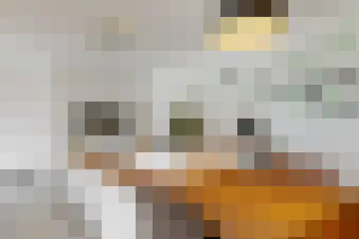 Zonnebloemstraat 2 Geleen thumbnail 8