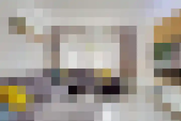 Zonnebloemstraat 2 Geleen thumbnail 9