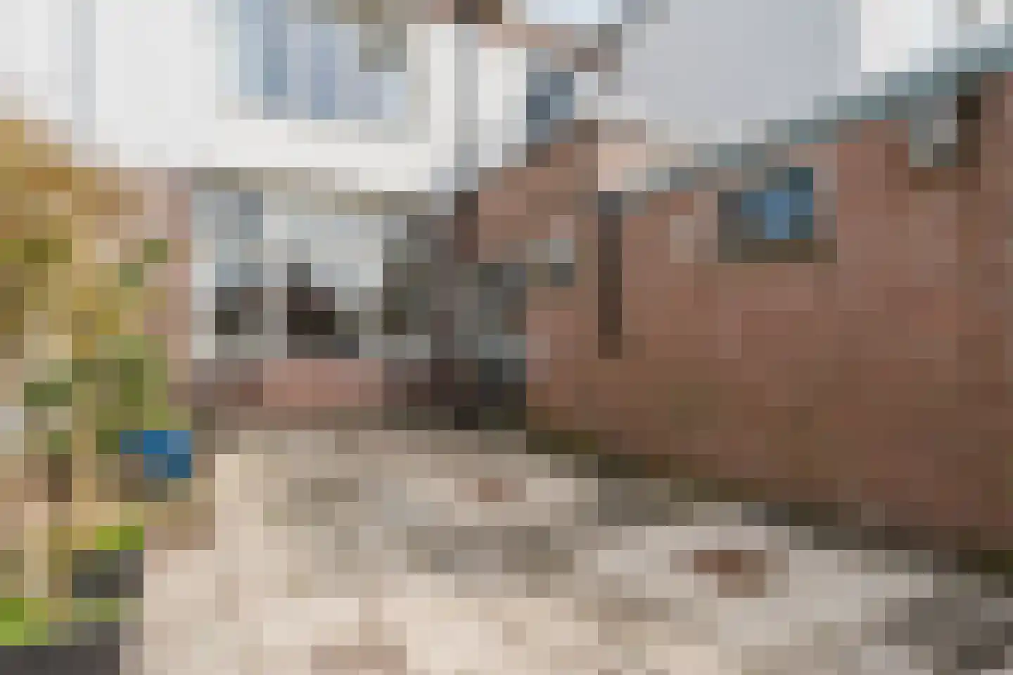 Zonnebloemstraat 21 Heerenveen thumbnail 34