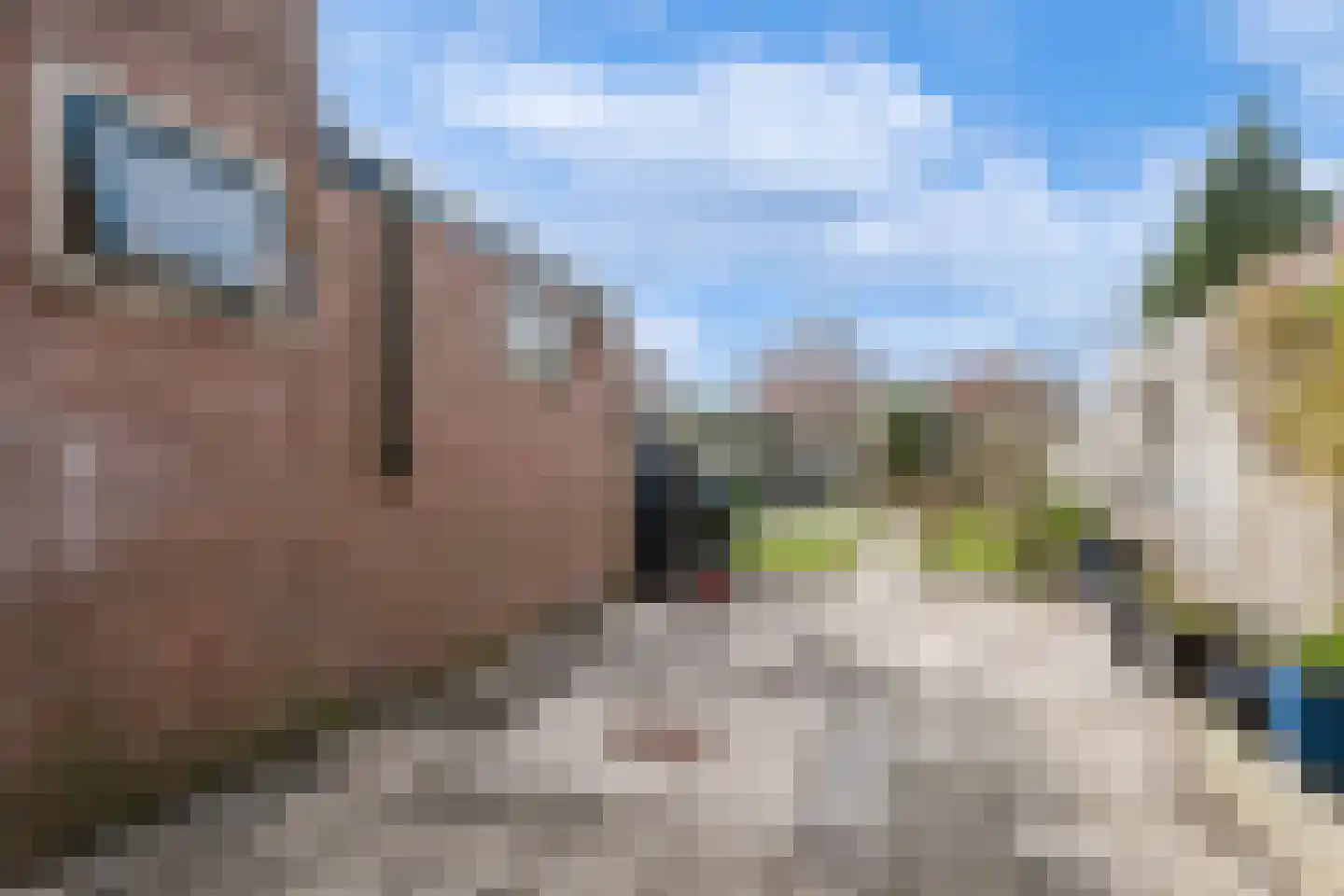 Zonnebloemstraat 21 Heerenveen thumbnail 35