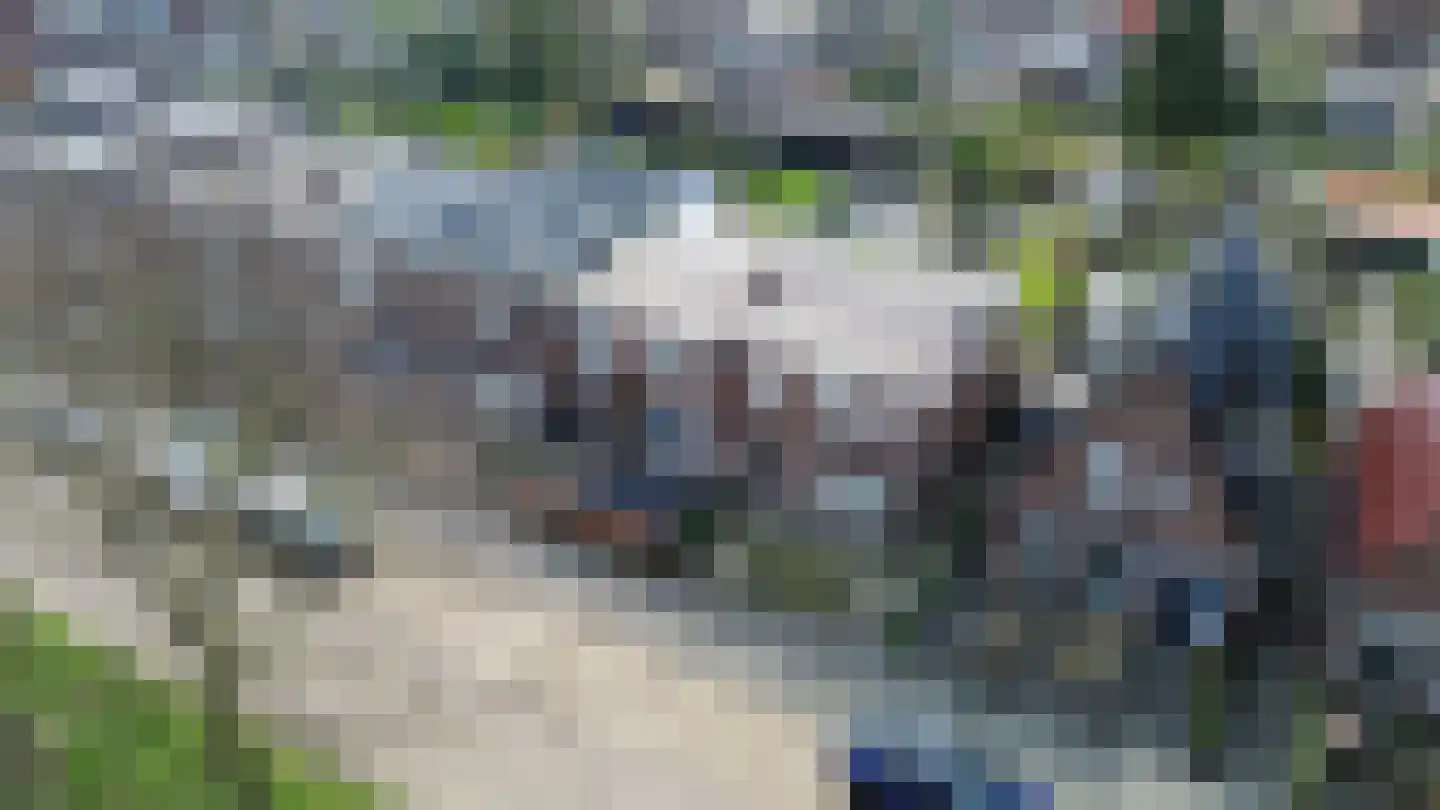 Zonnebloemstraat 21 Heerenveen thumbnail 4