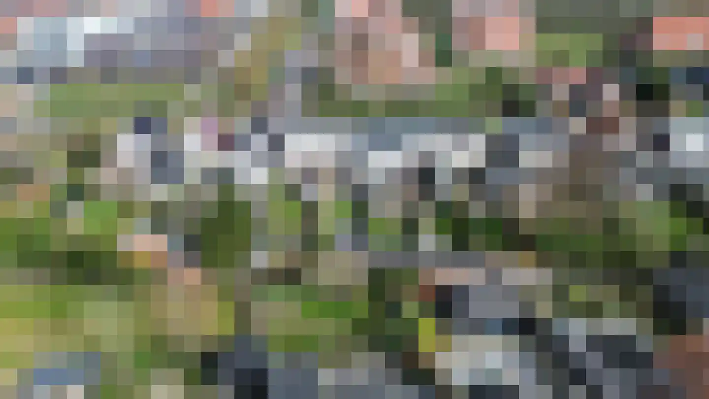 Zonnebloemstraat 21 Heerenveen thumbnail 40