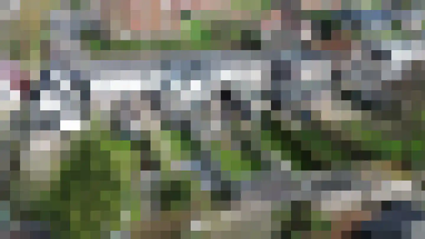 Zonnebloemstraat 21 Heerenveen thumbnail 41