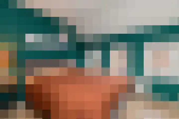 Zonnebloemstraat 21 Zwolle thumbnail 13