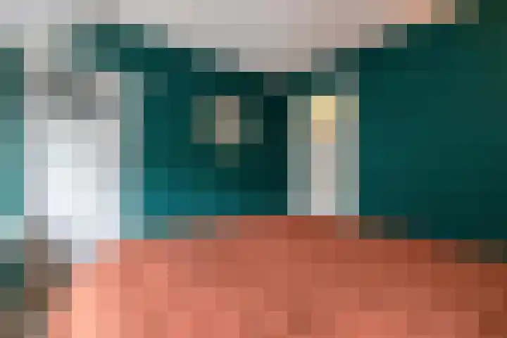Zonnebloemstraat 21 Zwolle thumbnail 14