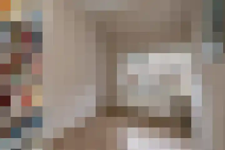 Zonnebloemstraat 21 Zwolle thumbnail 15
