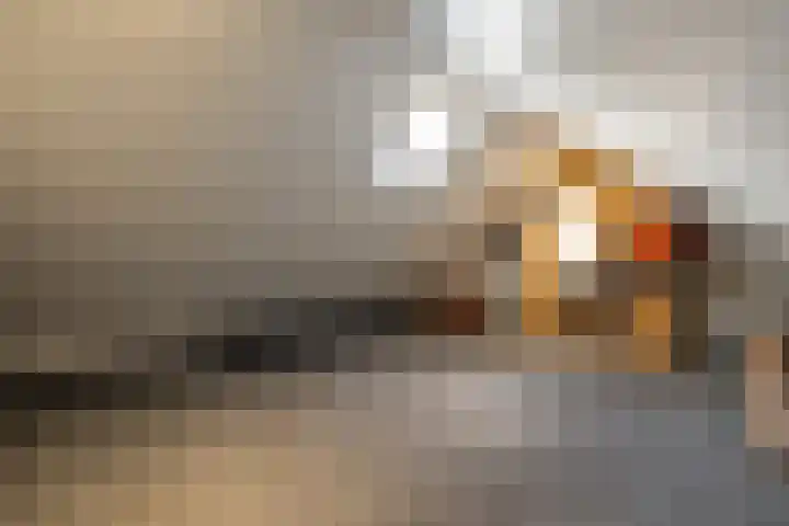 Zonnebloemstraat 21 Zwolle thumbnail 20