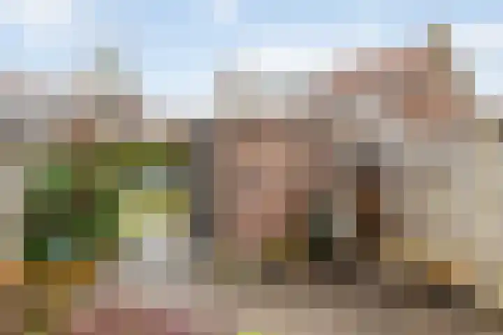 Zonnebloemstraat 21 Zwolle thumbnail 21