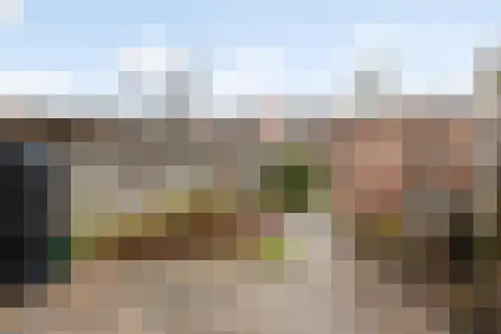 Zonnebloemstraat 21 Zwolle thumbnail 22