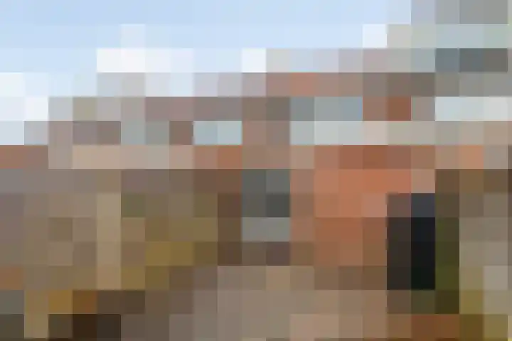 Zonnebloemstraat 21 Zwolle thumbnail 23