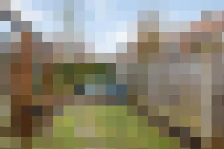 Zonnebloemstraat 21 Zwolle thumbnail 25