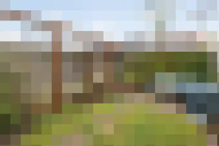 Zonnebloemstraat 21 Zwolle thumbnail 26