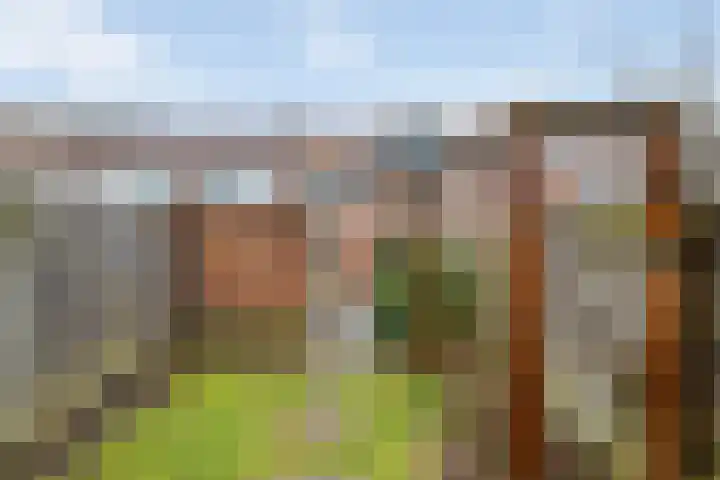 Zonnebloemstraat 21 Zwolle thumbnail 27