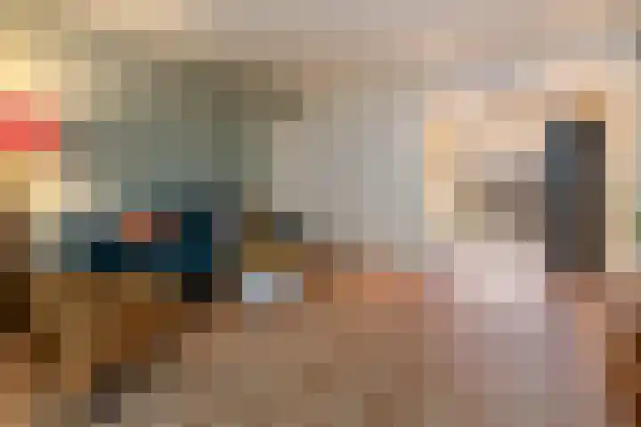 Zonnebloemstraat 21 Zwolle thumbnail 5
