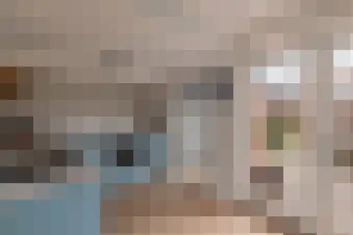 Zonnebloemstraat 21 Zwolle thumbnail 8