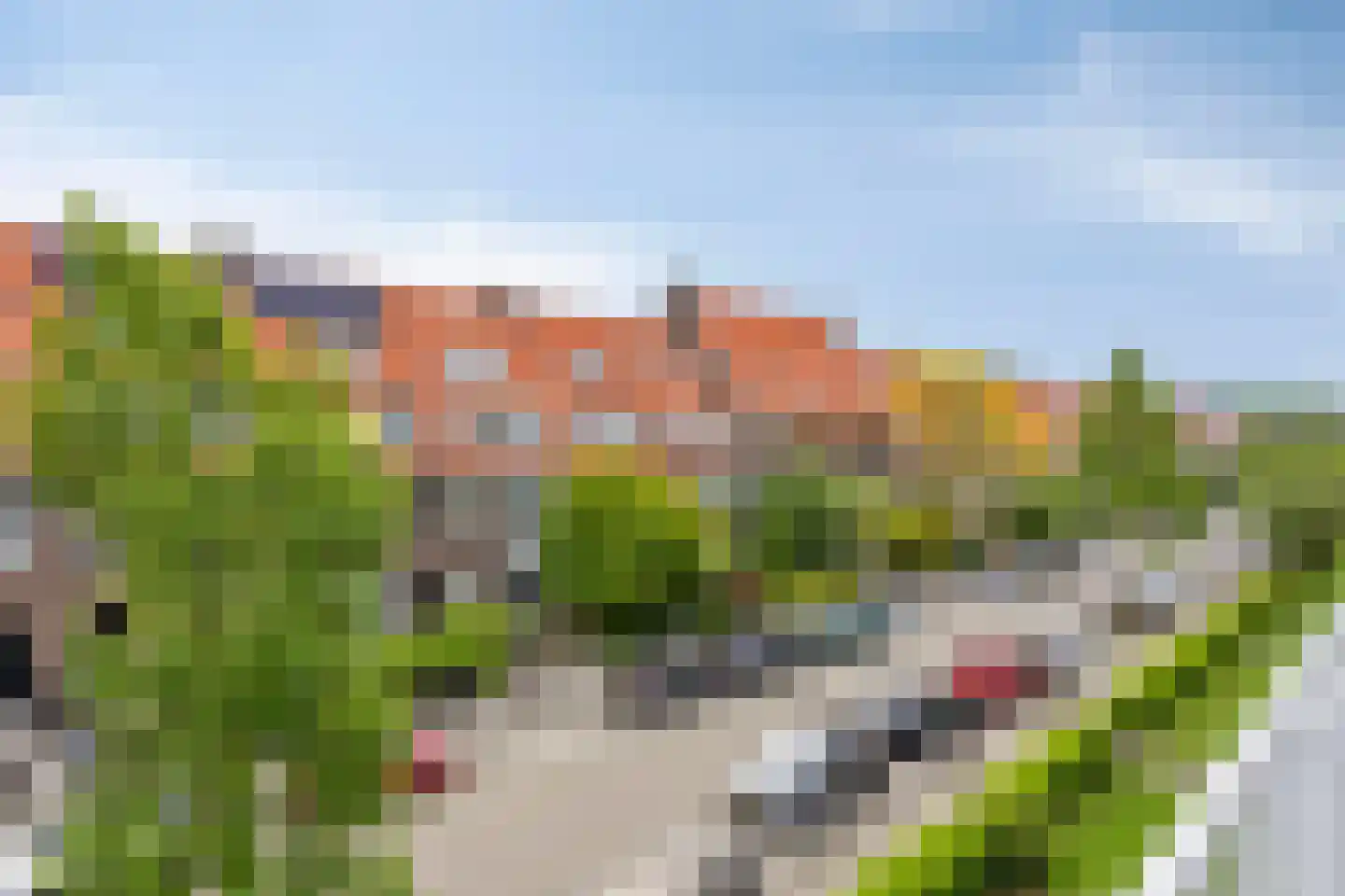 Zonnebloemstraat 22 A Rotterdam thumbnail 19