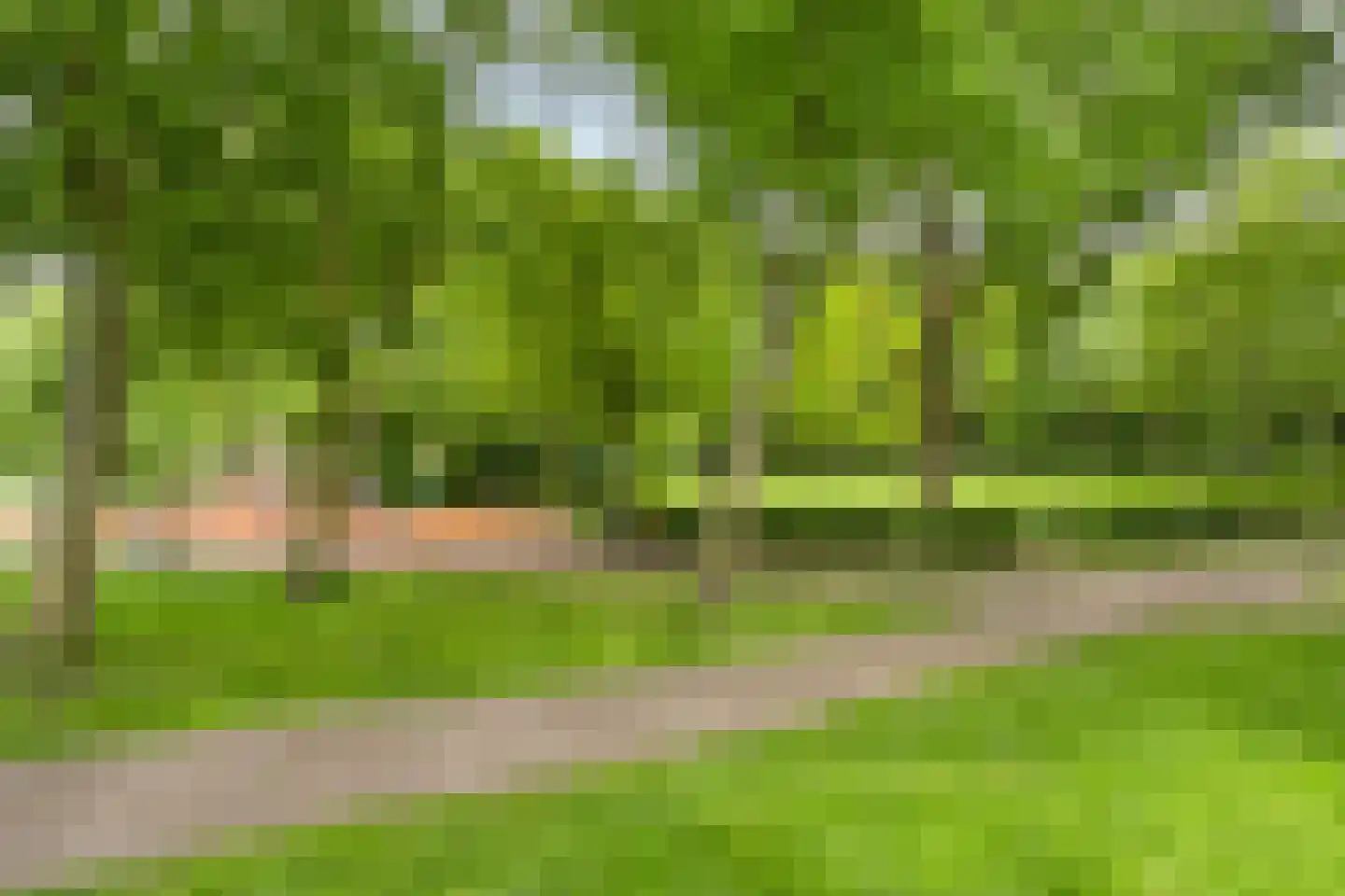 Zonnebloemstraat 22 A Rotterdam thumbnail 21