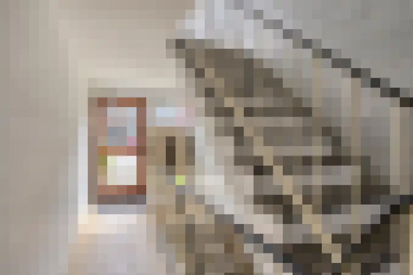 Zonnebloemstraat 22 A Rotterdam thumbnail 7