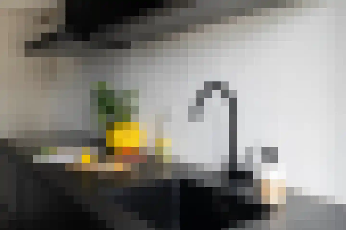 Zonnebloemstraat 24 C Rotterdam thumbnail 9