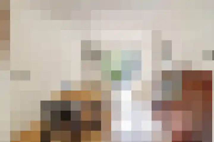 Zonnebloemstraat 25 Goes thumbnail 10