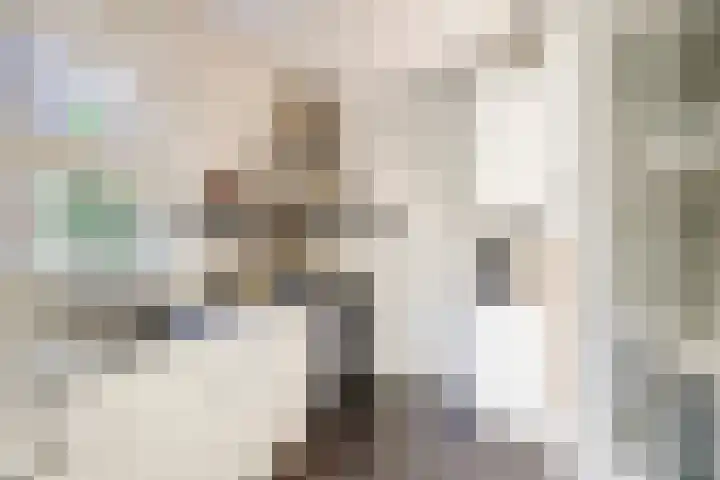 Zonnebloemstraat 25 Goes thumbnail 15