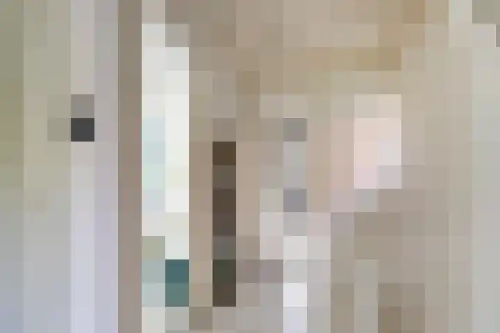 Zonnebloemstraat 25 Goes thumbnail 17