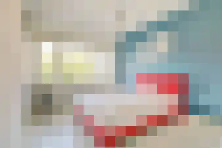 Zonnebloemstraat 25 Goes thumbnail 18