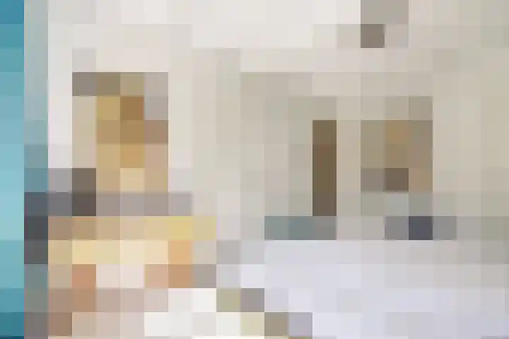 Zonnebloemstraat 25 Goes thumbnail 21
