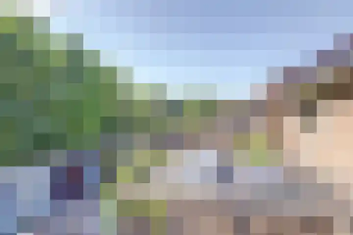 Zonnebloemstraat 25 Goes thumbnail 26