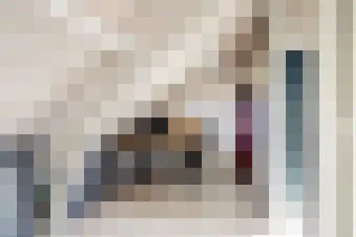 Zonnebloemstraat 25 Goes thumbnail 27
