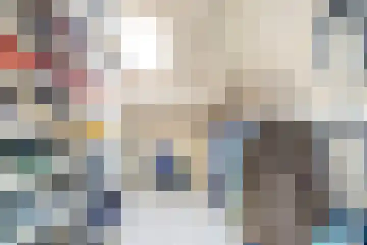 Zonnebloemstraat 25 Goes thumbnail 28
