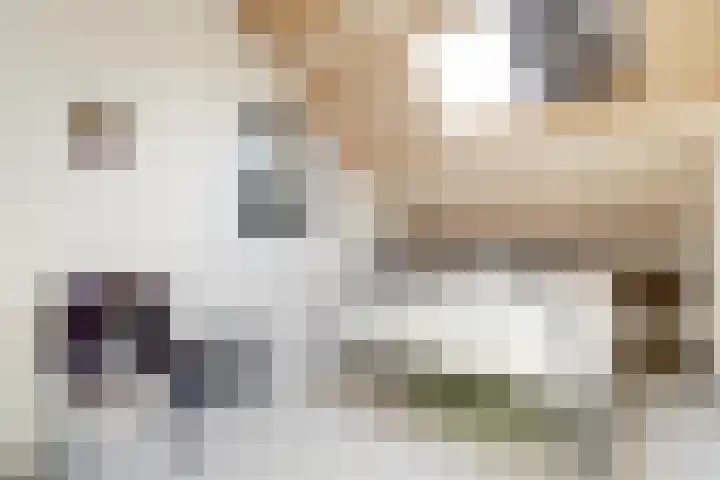 Zonnebloemstraat 25 Goes thumbnail 29