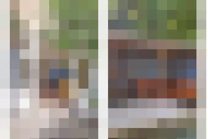 Zonnebloemstraat 25 Goes thumbnail 31