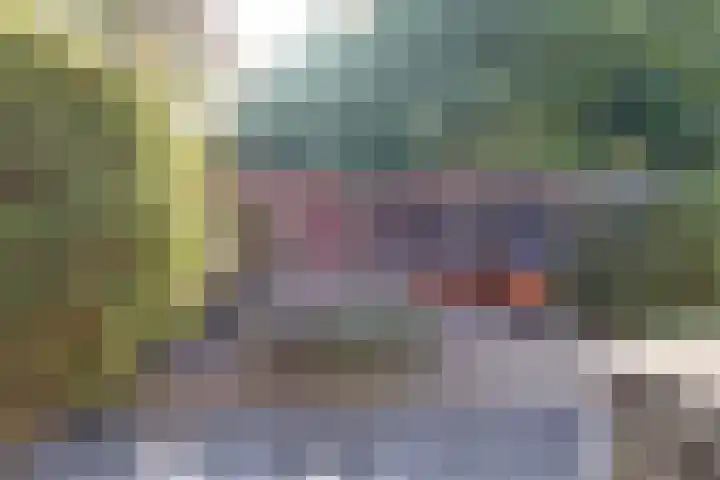 Zonnebloemstraat 25 Goes thumbnail 32
