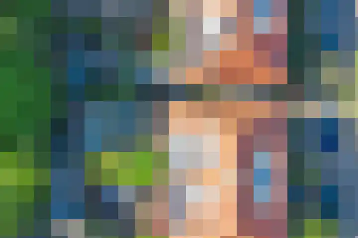 Zonnebloemstraat 25 Goes thumbnail 33
