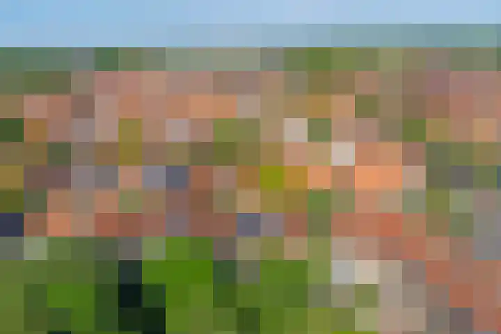 Zonnebloemstraat 25 Goes thumbnail 34