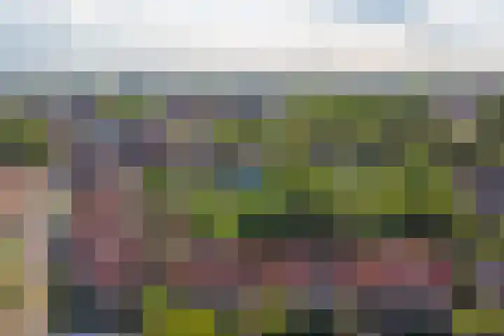 Zonnebloemstraat 25 Goes thumbnail 35