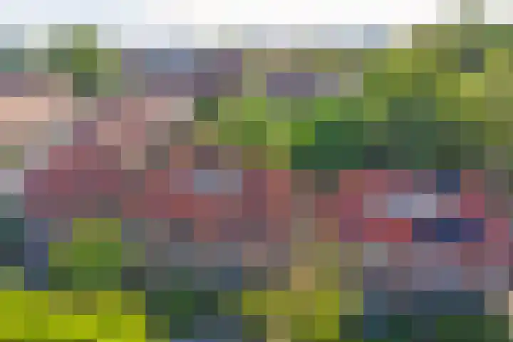 Zonnebloemstraat 25 Goes thumbnail 36