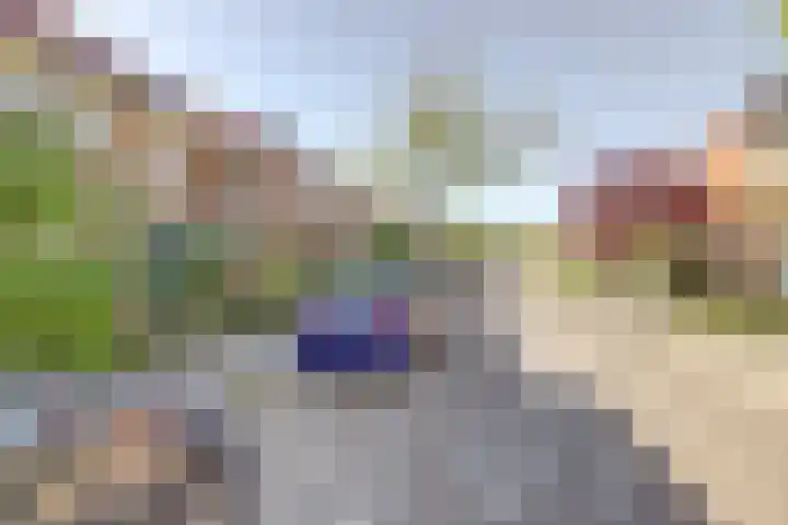 Zonnebloemstraat 25 Goes thumbnail 37