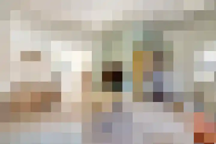 Zonnebloemstraat 25 Goes thumbnail 4