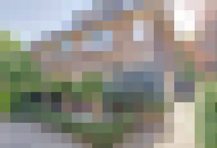 Zonnebloemstraat 25 Goes thumbnail 46