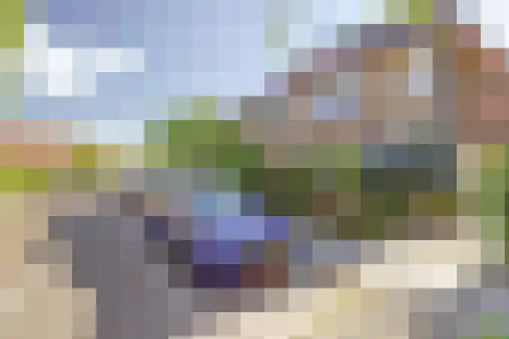 Zonnebloemstraat 25 Goes thumbnail 5
