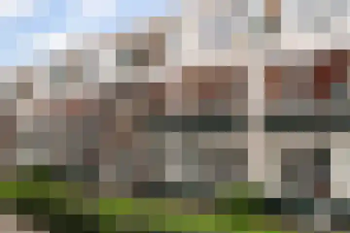 Zonnebloemstraat 26 B Rotterdam thumbnail 32