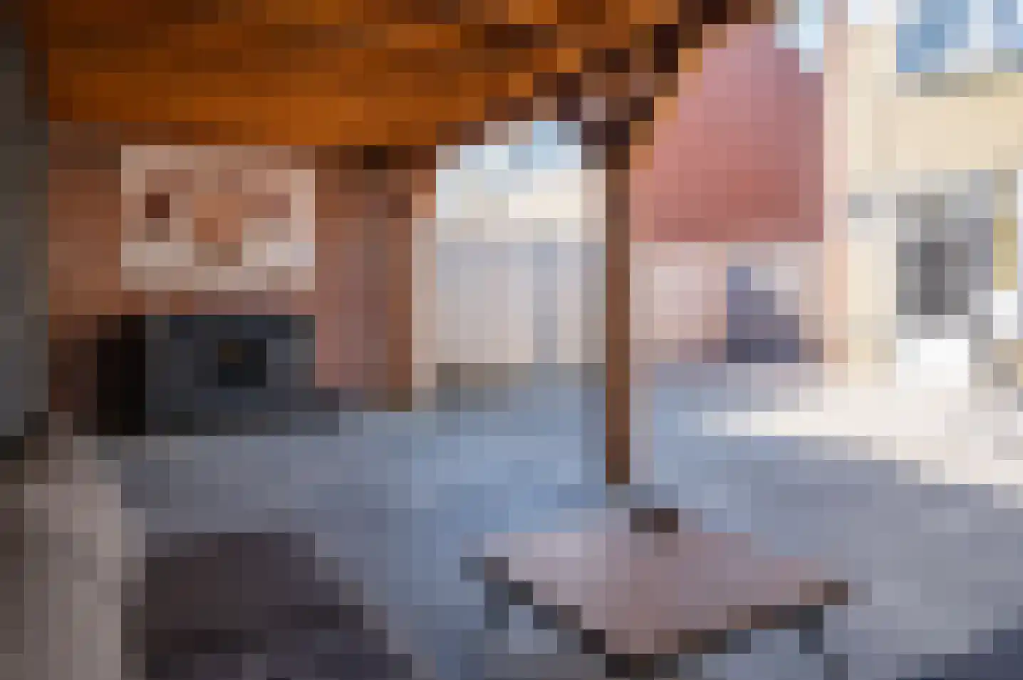 Zonnebloemstraat 27 Zelhem thumbnail 31