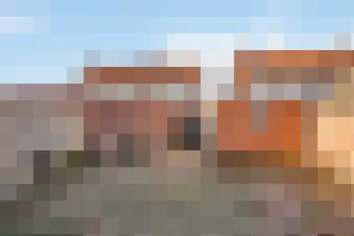 Zonnebloemstraat 28 Almelo thumbnail 17